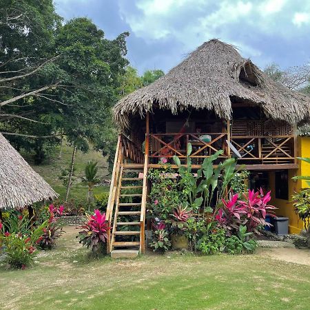 Ecohostal Palmares Del Rio Guachaca Екстериор снимка