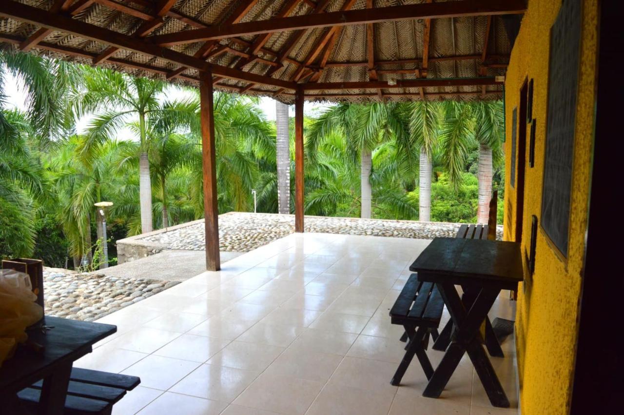 Ecohostal Palmares Del Rio Guachaca Екстериор снимка