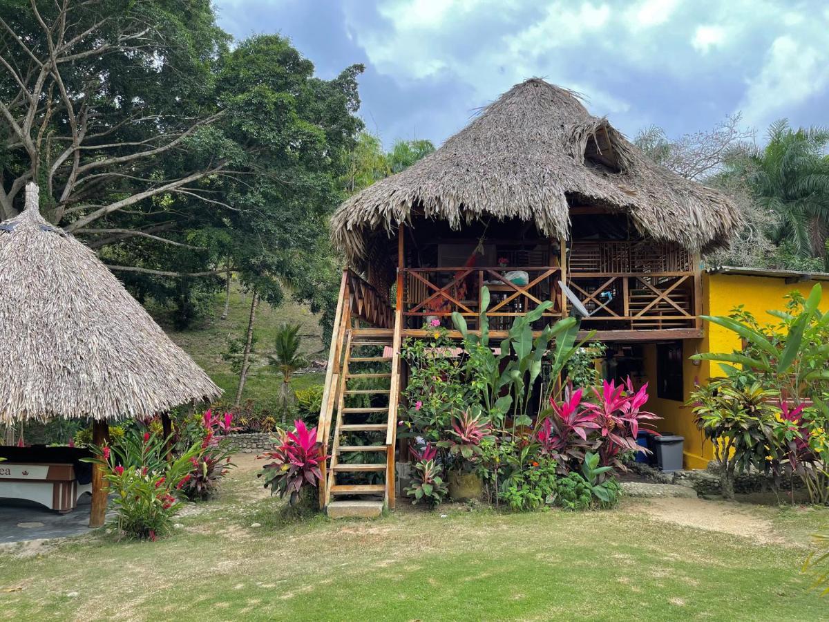 Ecohostal Palmares Del Rio Guachaca Екстериор снимка