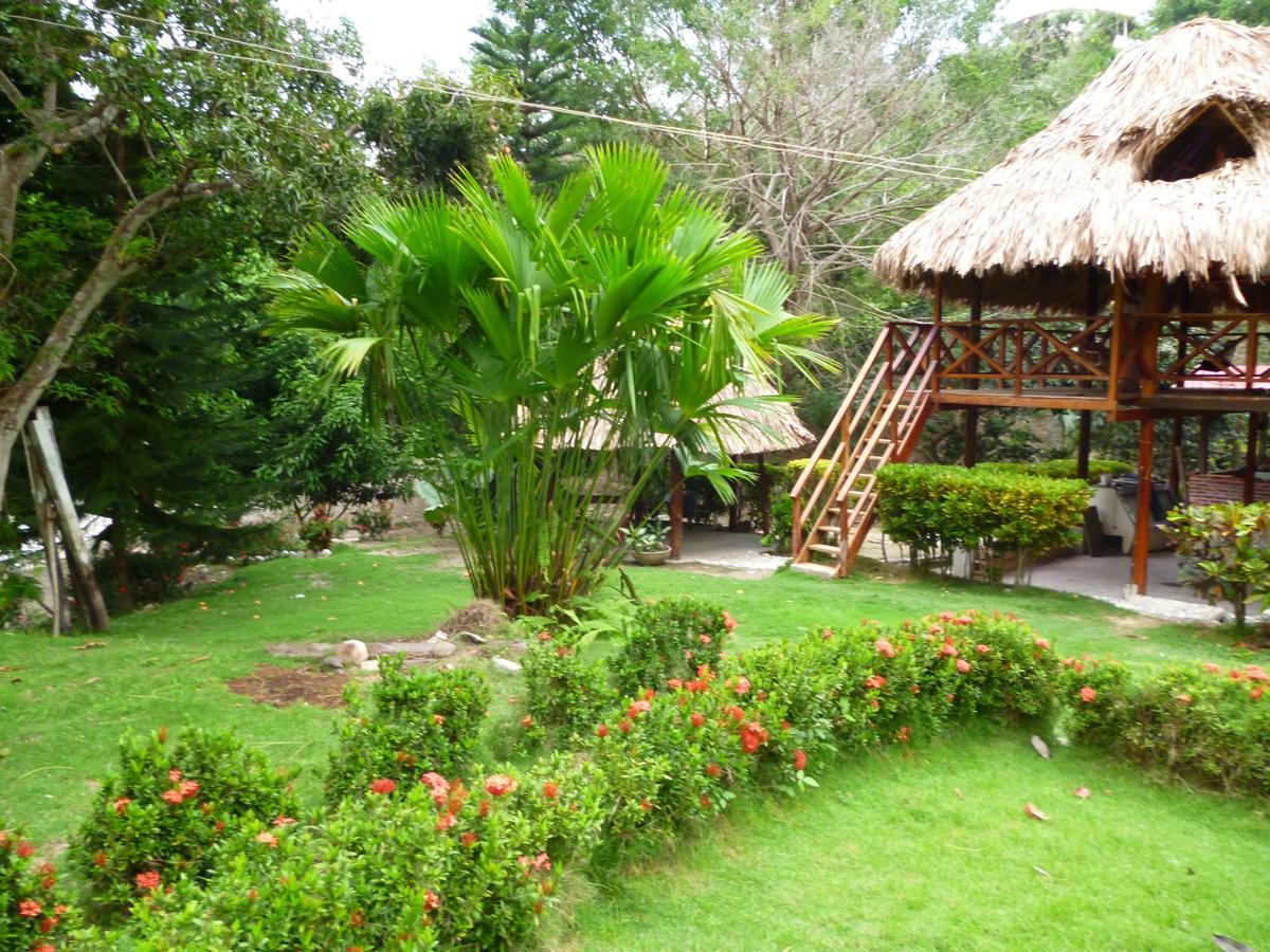 Ecohostal Palmares Del Rio Guachaca Екстериор снимка