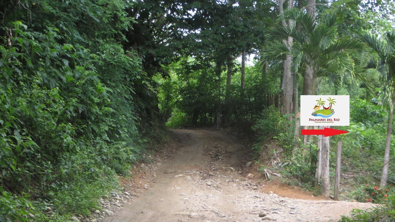 Ecohostal Palmares Del Rio Guachaca Екстериор снимка