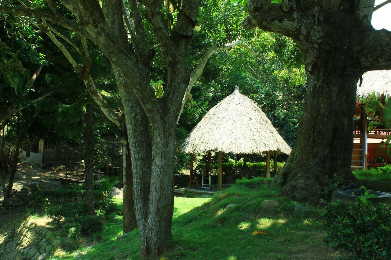 Ecohostal Palmares Del Rio Guachaca Екстериор снимка